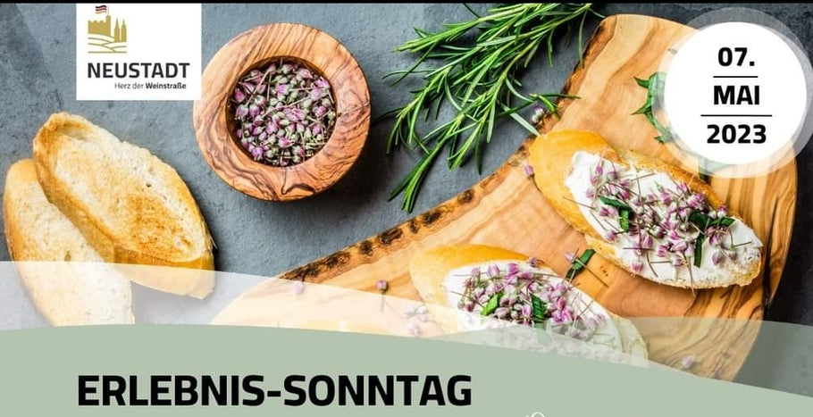 Erlebnis-Sonntag in Neustadt an der Weinstraße