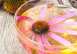 biologischer Echinacea aus Griechenland - 30g