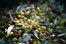 Laden Sie das Bild in den Galerie-Viewer, Soi biologisches Olivenöl vom Peloponnes extra virgin - 0,5l