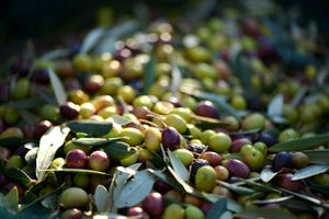Soi biologisches Olivenöl vom Peloponnes extra virgin - 0,5l